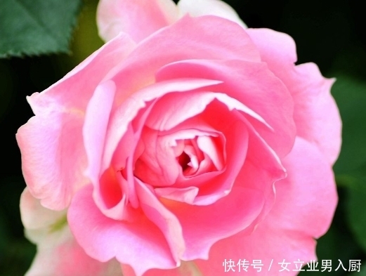 日子|9月下旬,事业运大旺,4属相春风得意,日子越过越幸福美满