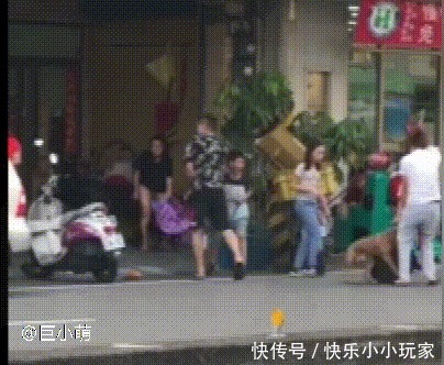  发狂|“第一猛犬”发狂咬土狗32秒，5岁女孩赤手空拳阻止，场面惊心