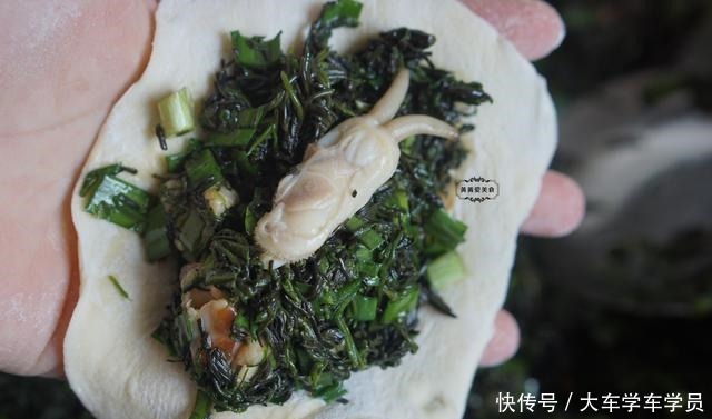  海边|海边这野菜5月最嫩，用来包包子，皮软馅儿鲜，一上桌被抢光