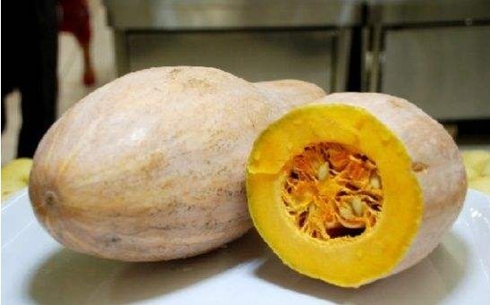 南瓜过敏|南瓜是我们常见的,以下两种人最好不要吃,赶紧来了解一下