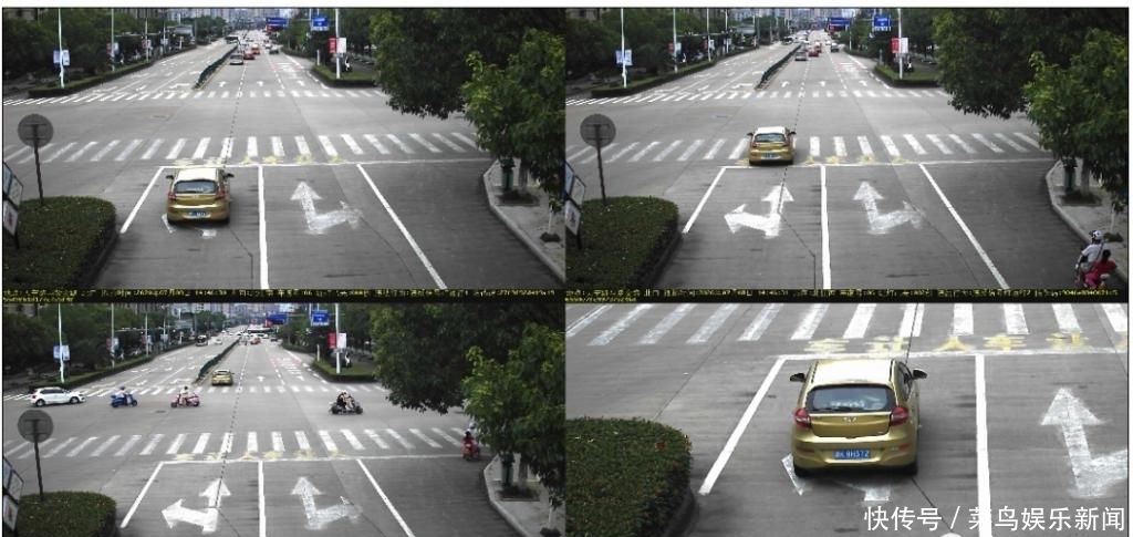 紫金|囿山路、紫金路、人民街、中山街……这些行为被曝光