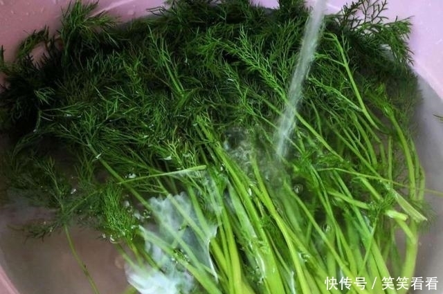  出锅|茴香别只会包饺子，加它一起炒，出锅比肉还香，隔壁小孩都馋哭了