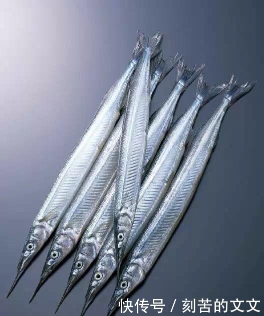  认出|海鲜大全, 你能认出多少