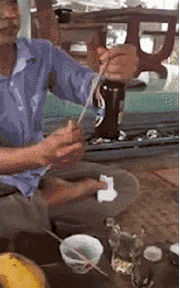 可行|搞笑GIF：妹子这一招，抓苍蝇可行吗？