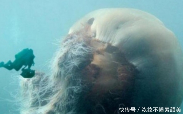 照片|这些照片真的没有经过任何PS处理,每一张都让人腿软!