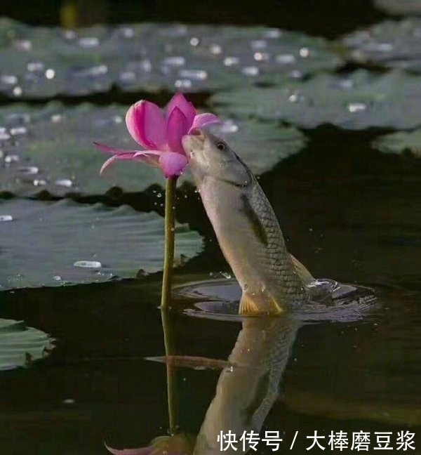  笑话|趣味图片幽默段子笑话：哈哈哈，这下好了老师再也不敢偷看了