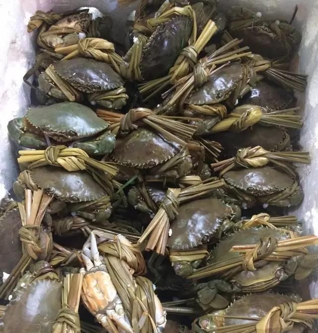 海鲜|世界上65种珍奇海鲜,贝爷都不敢说全部吃过,你吃过几种