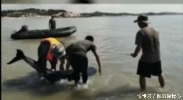 发生|海滩上发生惨痛一幕,解放军果断出手,全世界都纷纷点赞