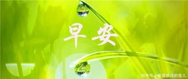 安心|早安心语：人生没有一帆风顺，只有披荆斩棘才能路路顺