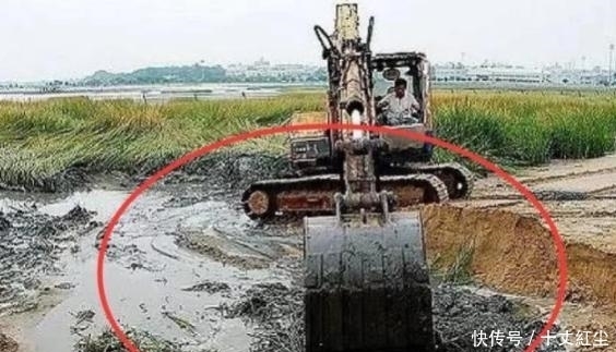 头疼|中国人终于头疼了!由于数量过多,不得不开着挖掘机“铲掉”
