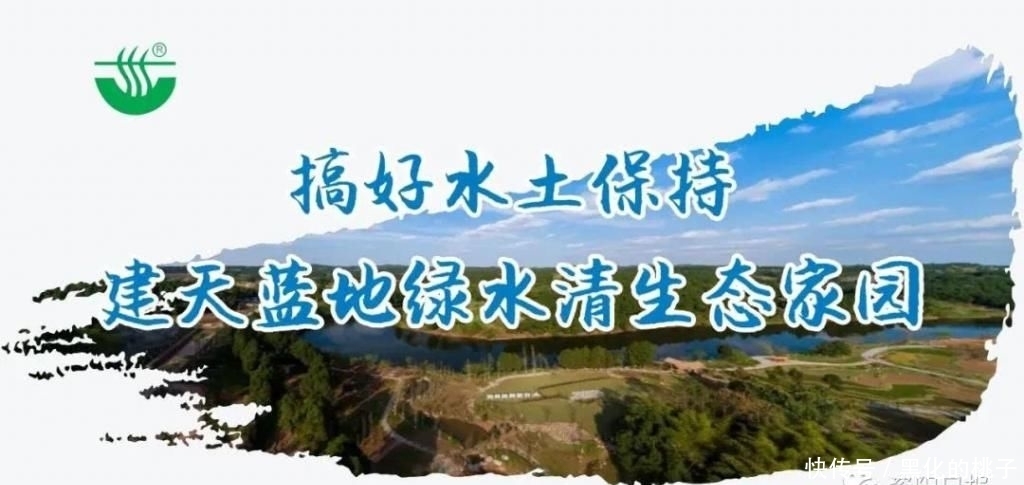 结局|1.2万元养老金遗落雁城公交车上，故事结局又将如何？