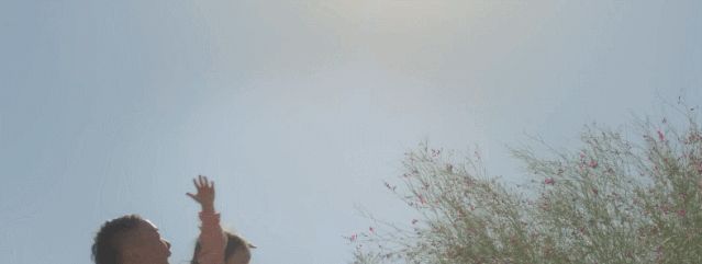 花棒|你的梭梭树、沙棘、花棒……都在这群人手里