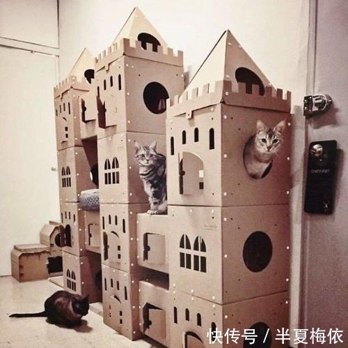豪华|有才!外国网友用废纸箱,给喵星人打造豪华城堡