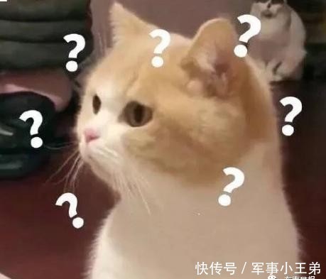 举办|婚礼举办5天后，新娘竟与前男友领了证！更狗血的在后面