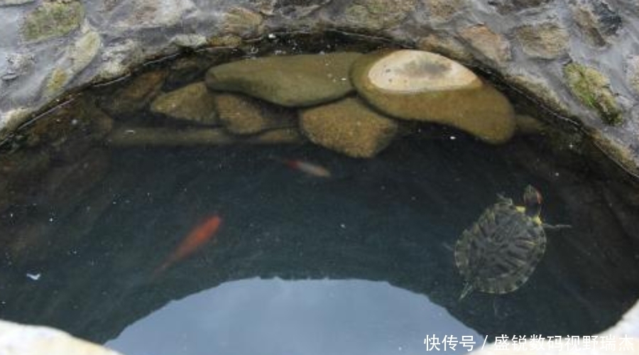  令人|古人打完水井后, 为啥要在里面放两只乌龟? 作用令人拍案叫绝