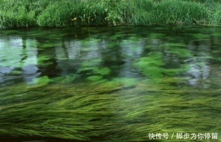 真相|农村孩童相继溺水身亡，抽干河水以后，才知道溺水真相