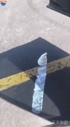 天天|搞笑GIF:我家的电线天天被当成秋千!