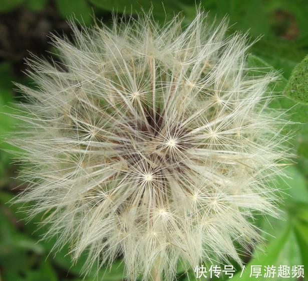 朵朵开|10月,月老牵红线,3生肖桃花朵朵开,恭喜马上就能脱单!