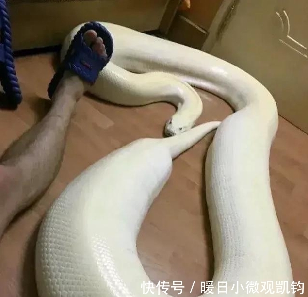  经历|各位领导，这杯我干了你们随意，我想知道这个小哥最后经历是什么