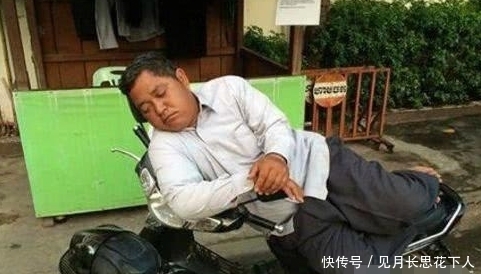 幽默|搞笑图片幽默段子:哈哈,两只狗狗体重差距好大啊,也是可以的