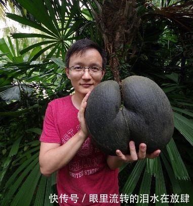 哪种|水果界的“李佳琦”,吃遍3000多种水果,哪种最好吃