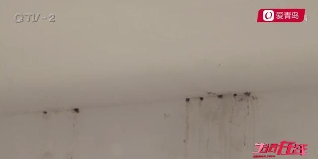 屋顶|新房买来5年难入住,屋顶漏雨“治”不了开发商漏咱就修