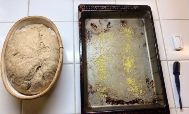 面包|4500年历史的酵母成功复活 重现古埃及风味的面包
