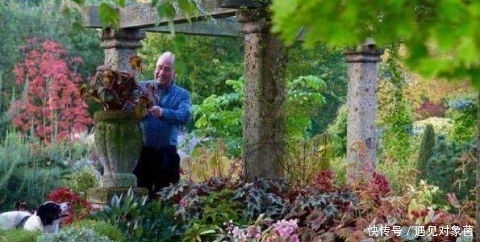 年来|英国老人退休后,把一生所爱献给这片荒地,25年来从不停歇