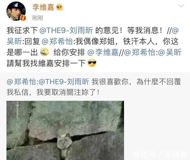 蓝盈莹|宁静、张雨绮因《浪姐》走红邀约不断,伊能静、蓝盈莹成最大输家