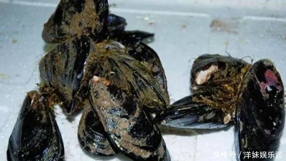 海鲜|海鲜大全, 你能认出多少