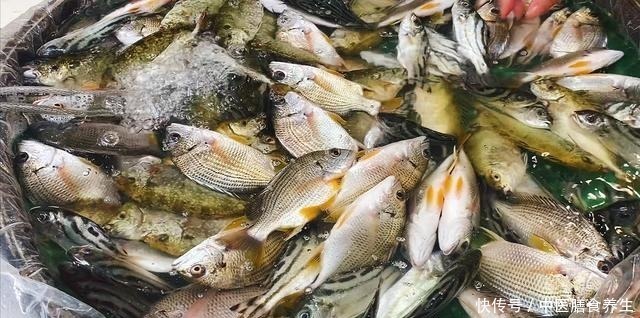 营养|营养极高的“5种鱼”,由于个小被嫌弃,内行人却常吃
