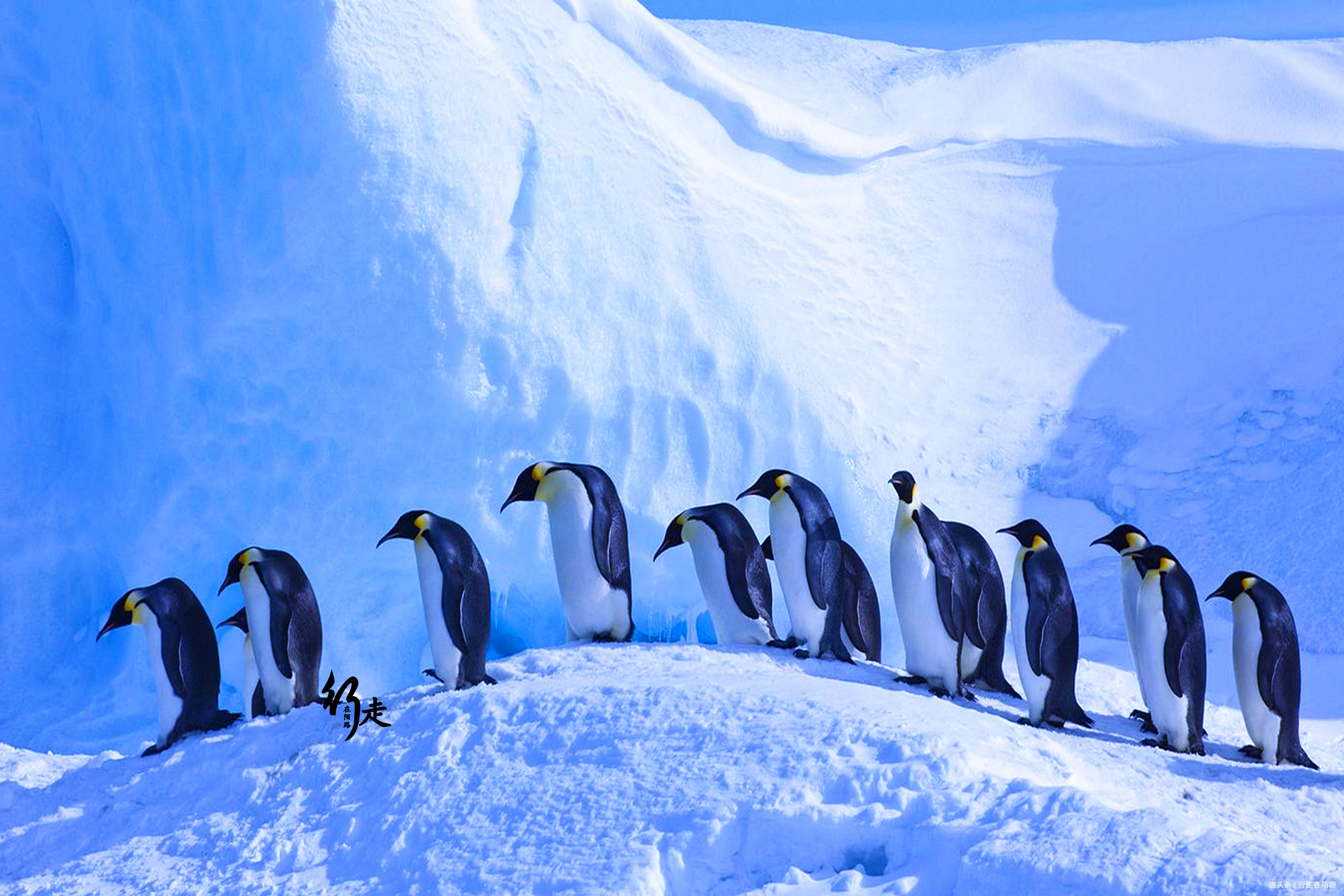 全球|全球最大行政区350万平方公里仅4万人口,8户人被骗57年