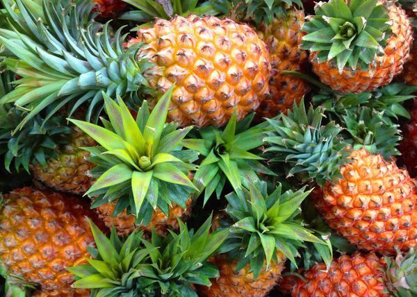 吃法|吃菠萝,最忌用盐水泡,教你3个“灵魂吃法”,不酸不涩更甘甜