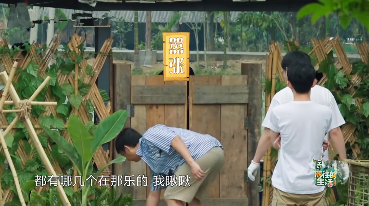 何老师|一只鸡要十捆香蕉!黄磊拿板砖“威胁”导演,周迅调侃彭彭太自恋