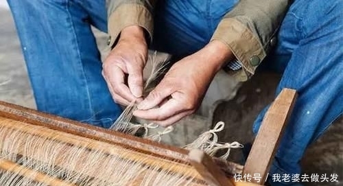 享誉|农民叫它白片儿,是“麻”的前身,五千年前,用它做衣服享誉世界