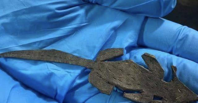 检查|博物馆检查垃圾堆,发现古罗马“皮老鼠”,牵出罗马入侵英国历史