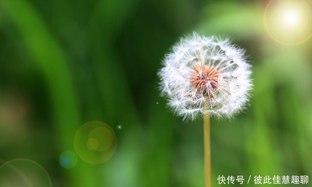 不靠|爱吹牛的人,一般都不靠谱