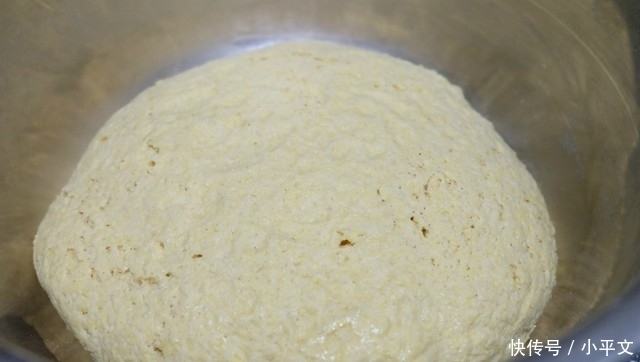 发酵好|榆钱蒸馒头,搭配玉米面最清香,详细步骤分享,简单易做超好吃