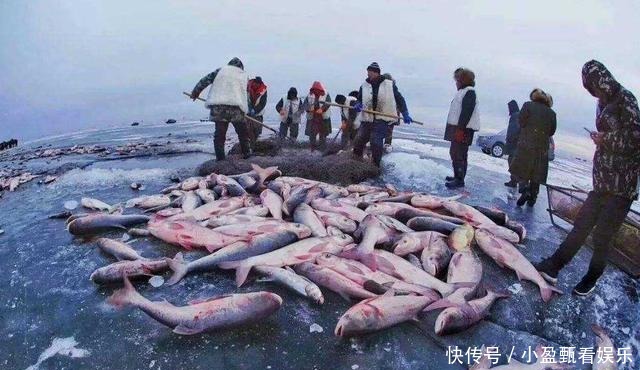 是从|在日本受追捧的“长寿菜”,原来是从中国进口,我们却很少有人吃