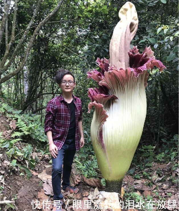  哪种|水果界的“李佳琦”，吃遍3000多种水果，哪种最好吃