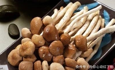 南方人|南方人说: 北方的食物, 是世界上最大的骗子! ?