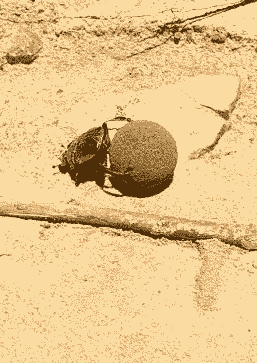 表演|搞笑GIF:看孩子们的表演,真是太有激情了!