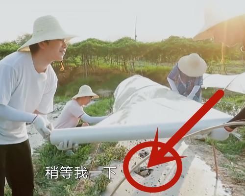 向往的生活|向往穿帮太明显,嘉宾对杂草洒营养液,给石头盖保护膜防冰雹