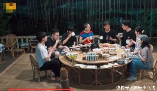 嘉宾|下季《向往的生活》换嘉宾黄磊不小心说漏嘴,导演打字幕救场都晚了