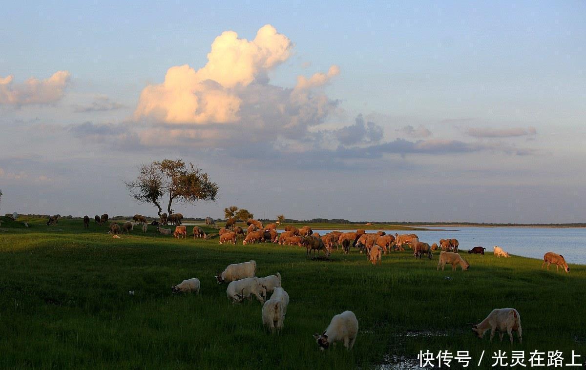 嫩江|映像中国—这里被称为“丹顶鹤之乡”,这里有众多湿地保护区景观