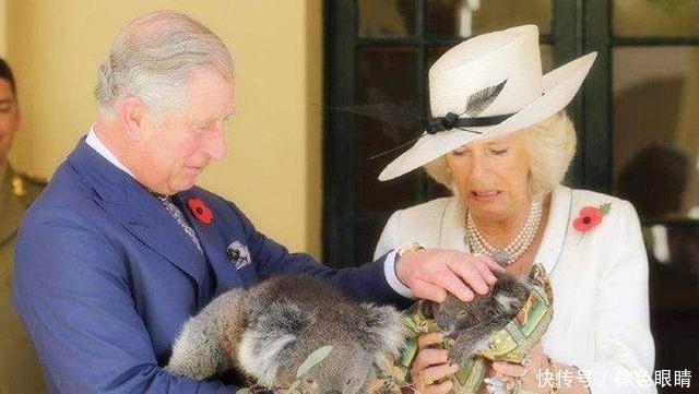  瞬间|卡米拉“呆萌”的瞬间，每一张倩影极具经典，老照片见证玄机