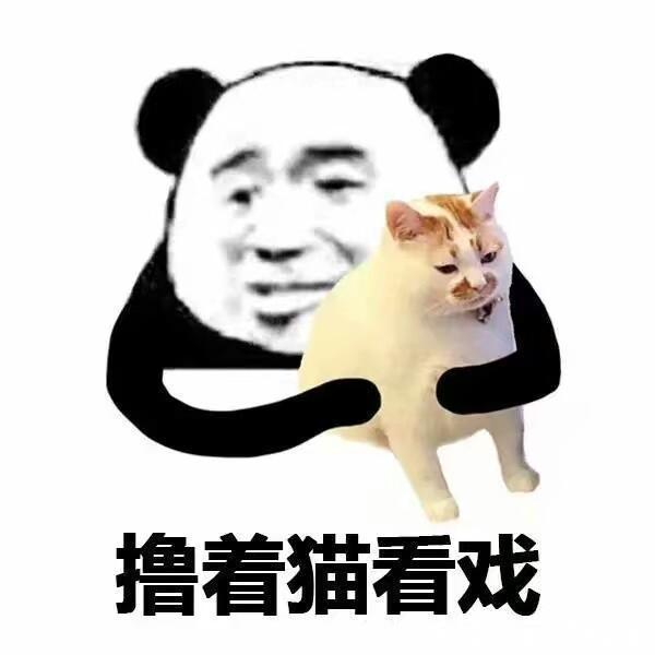 理科|别让理科男养猫，你永远不知道他会拿你的猫去计算些什么东西