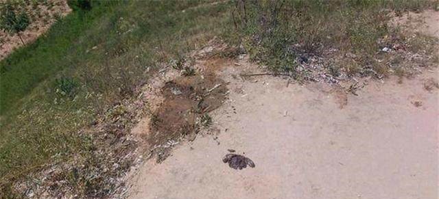 长眠|西汉名将“卫青”一生战功赫赫,如今却被遗忘,长眠之地更是凄凉