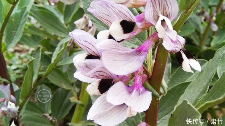 看不起|不要看不起别人做事,却羡慕别人的收获