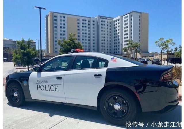  酒店|酒店住客混战群殴百名老小全动手